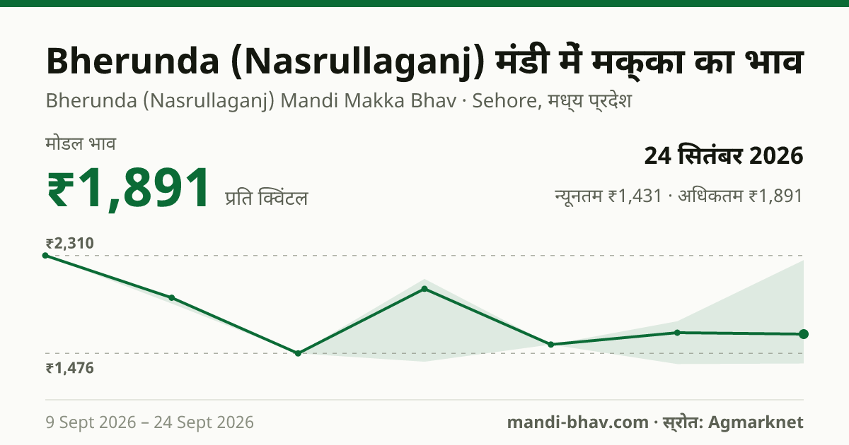 Bherunda (Nasrullaganj) मंडी में मक्का का भाव 24 सितंबर 2026: मोडल ₹1,891 प्रति क्विंटल, भाव के रुझान का चार्ट