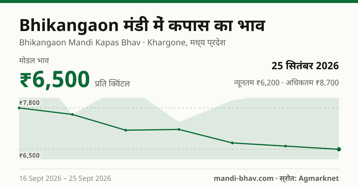Bhikangaon मंडी में कपास का भाव 25 सितंबर 2026: मोडल ₹6,500 प्रति क्विंटल, भाव के रुझान का चार्ट