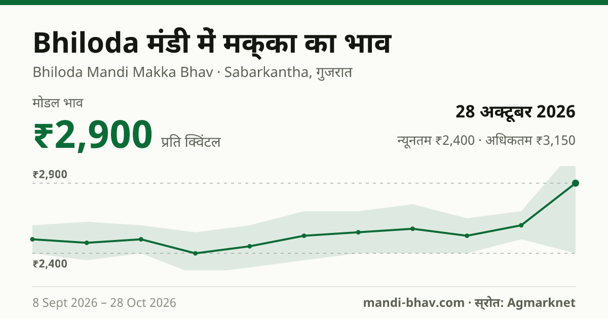 Bhiloda मंडी में मक्का का भाव 28 अक्टूबर 2026: मोडल ₹2,900 प्रति क्विंटल, भाव के रुझान का चार्ट