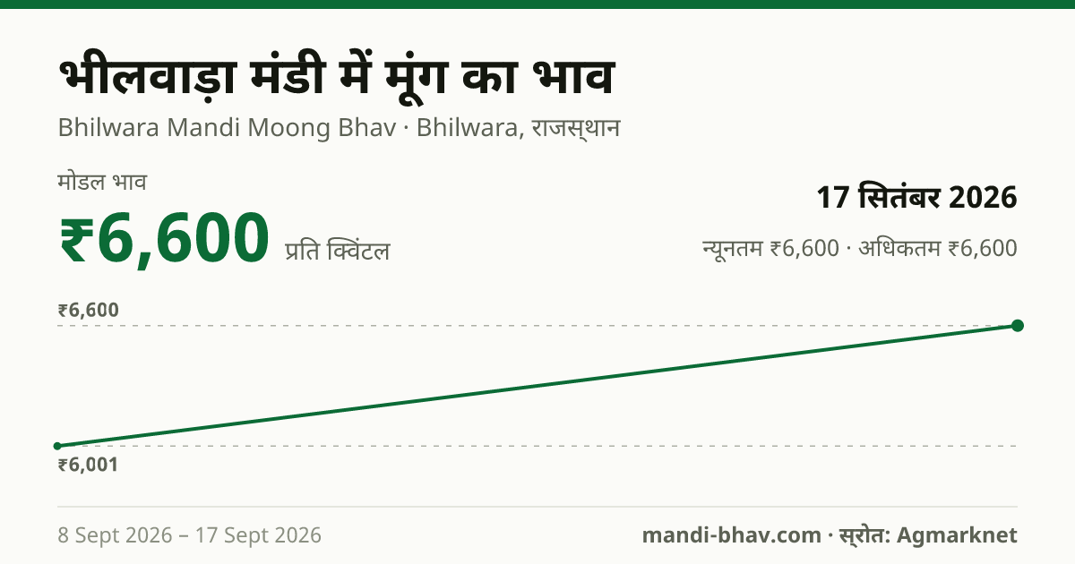 भीलवाड़ा मंडी में मूंग का भाव 17 सितंबर 2026: मोडल ₹6,600 प्रति क्विंटल, भाव के रुझान का चार्ट