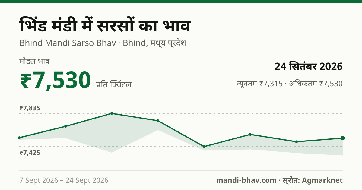 भिंड मंडी में सरसों का भाव 24 सितंबर 2026: मोडल ₹7,530 प्रति क्विंटल, भाव के रुझान का चार्ट
