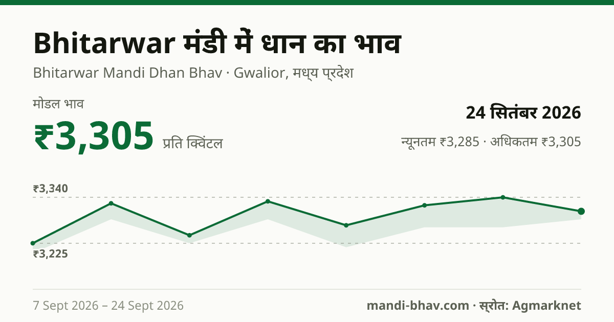 Bhitarwar मंडी में धान का भाव 24 सितंबर 2026: मोडल ₹3,305 प्रति क्विंटल, भाव के रुझान का चार्ट