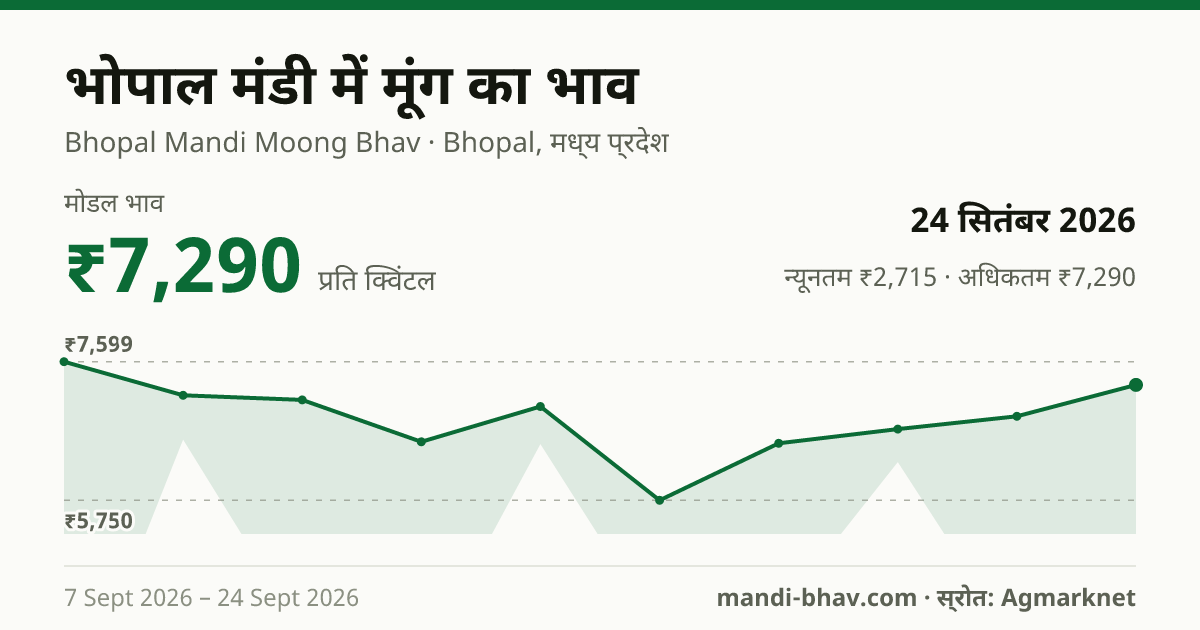भोपाल मंडी में मूंग का भाव 24 सितंबर 2026: मोडल ₹7,290 प्रति क्विंटल, भाव के रुझान का चार्ट