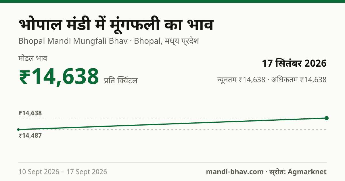 भोपाल मंडी में मूंगफली का भाव 17 सितंबर 2026: मोडल ₹14,638 प्रति क्विंटल, भाव के रुझान का चार्ट