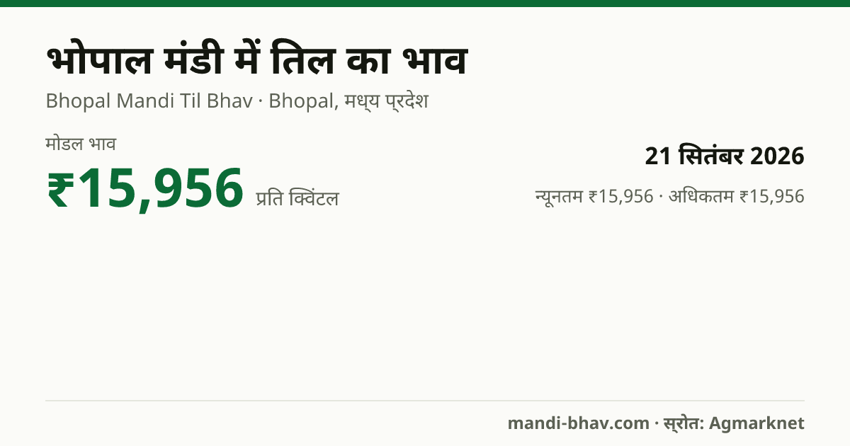 भोपाल मंडी में तिल का भाव 21 सितंबर 2026: मोडल ₹15,956 प्रति क्विंटल, भाव के रुझान का चार्ट