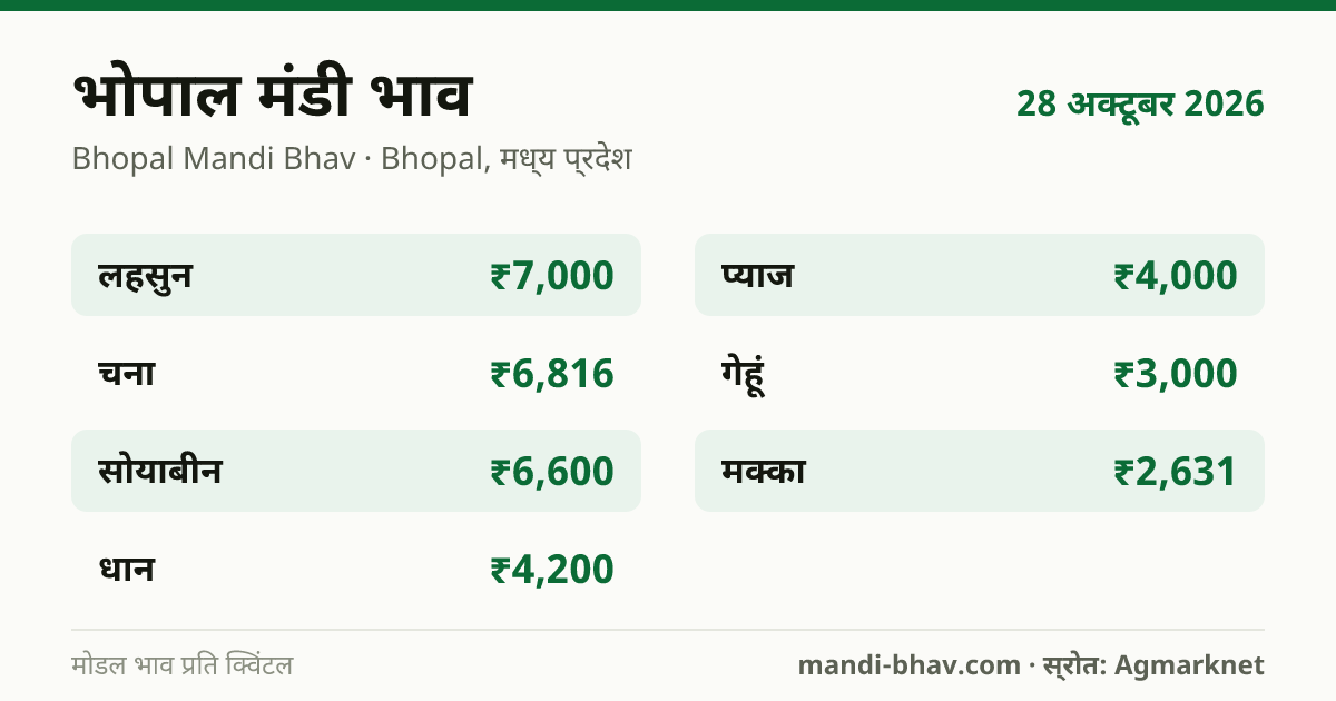 भोपाल मंडी भाव 28 अक्टूबर 2026: फसलवार मोडल रेट प्रति क्विंटल