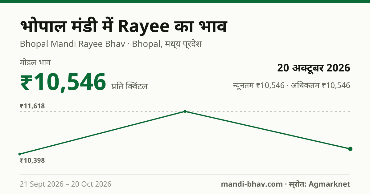 भोपाल मंडी में Rayee का भाव 20 अक्टूबर 2026: मोडल ₹10,546 प्रति क्विंटल, भाव के रुझान का चार्ट