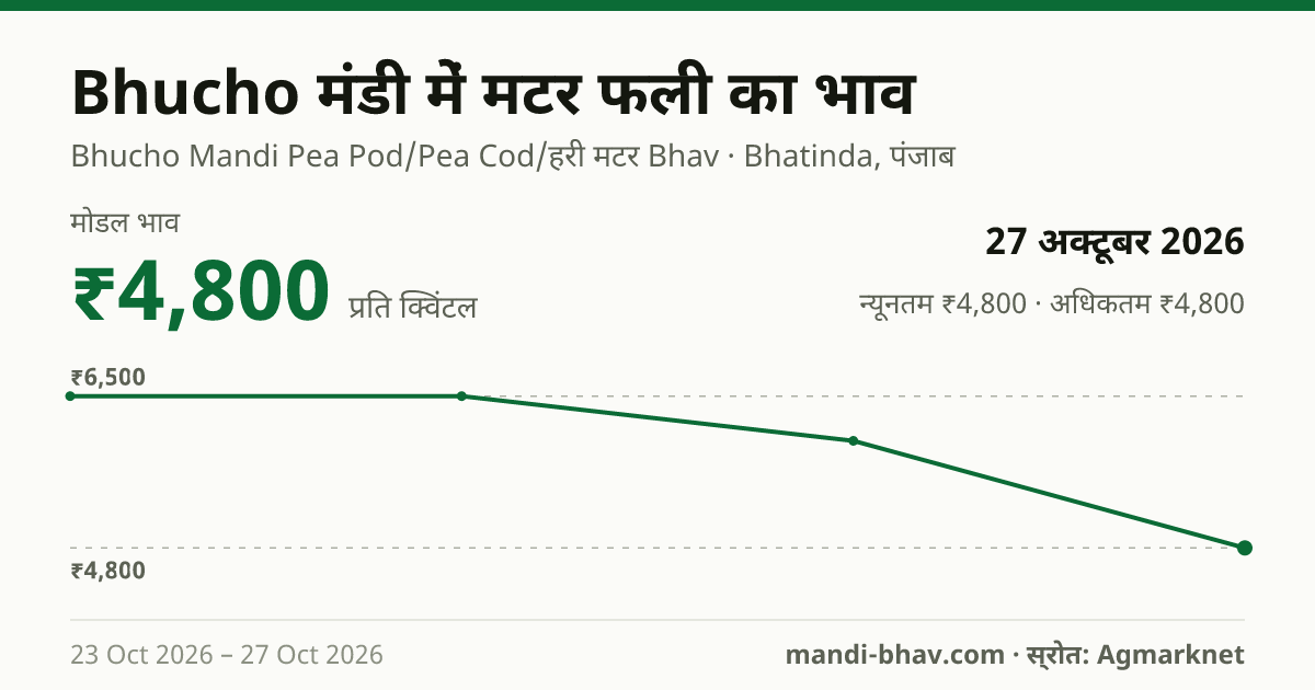 Bhucho मंडी में मटर फली का भाव 27 अक्टूबर 2026: मोडल ₹4,800 प्रति क्विंटल, भाव के रुझान का चार्ट