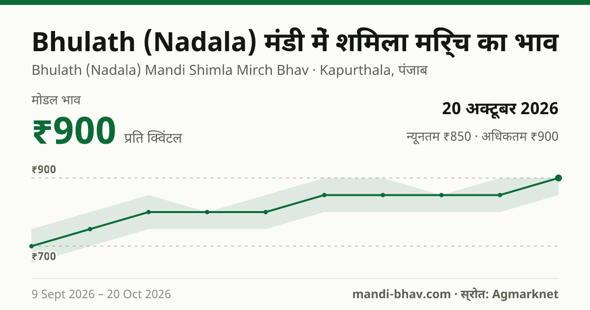 Bhulath (Nadala) मंडी में शिमला मिर्च का भाव 20 अक्टूबर 2026: मोडल ₹900 प्रति क्विंटल, भाव के रुझान का चार्ट