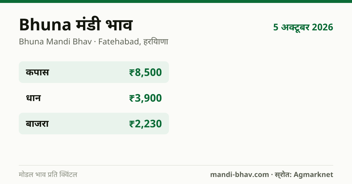 Bhuna मंडी भाव 5 अक्टूबर 2026: फसलवार मोडल रेट प्रति क्विंटल