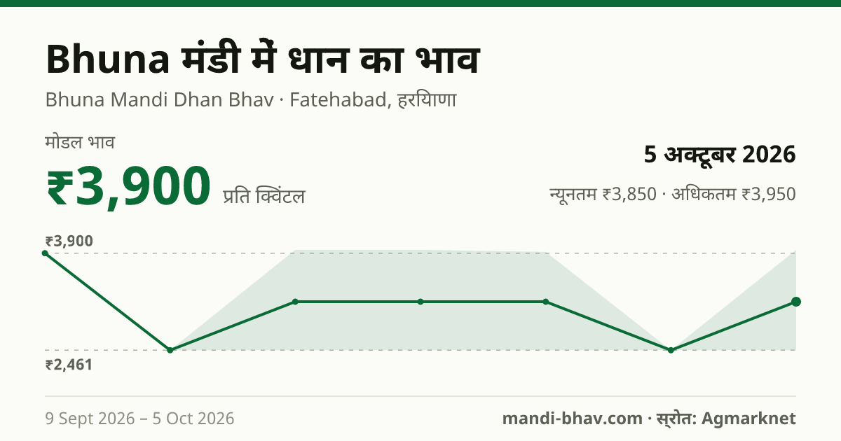 Bhuna मंडी में धान का भाव 5 अक्टूबर 2026: मोडल ₹3,900 प्रति क्विंटल, भाव के रुझान का चार्ट