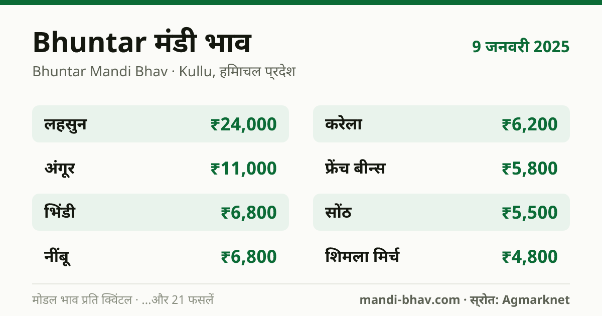 Bhuntar मंडी भाव 9 जनवरी 2025: फसलवार मोडल रेट प्रति क्विंटल