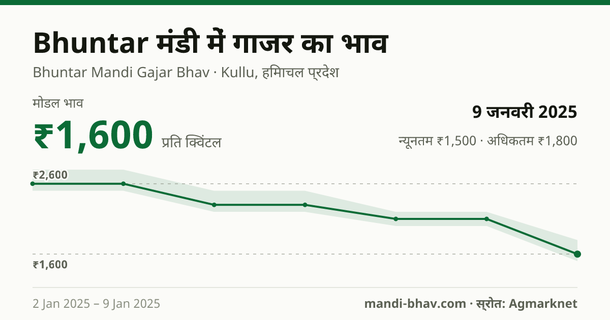 Bhuntar मंडी में गाजर का भाव 9 जनवरी 2025: मोडल ₹1,600 प्रति क्विंटल, भाव के रुझान का चार्ट