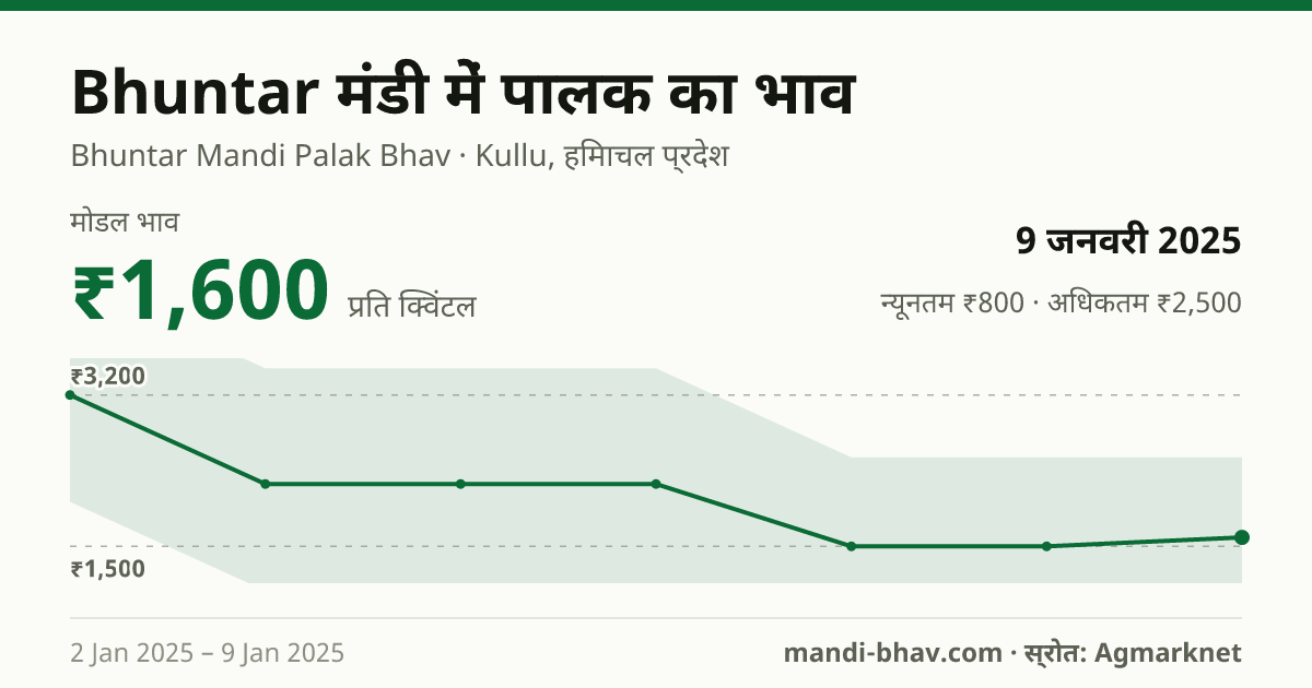 Bhuntar मंडी में पालक का भाव 9 जनवरी 2025: मोडल ₹1,600 प्रति क्विंटल, भाव के रुझान का चार्ट