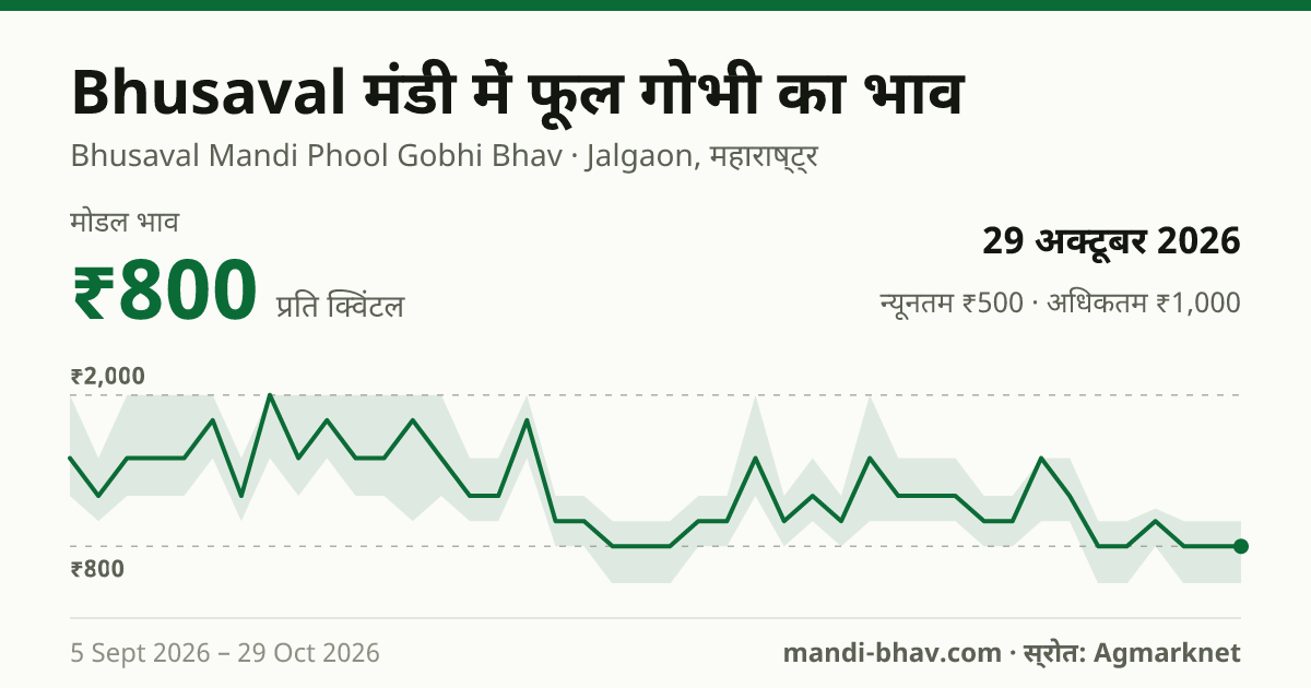 Bhusaval मंडी में फूल गोभी का भाव 29 अक्टूबर 2026: मोडल ₹800 प्रति क्विंटल, भाव के रुझान का चार्ट