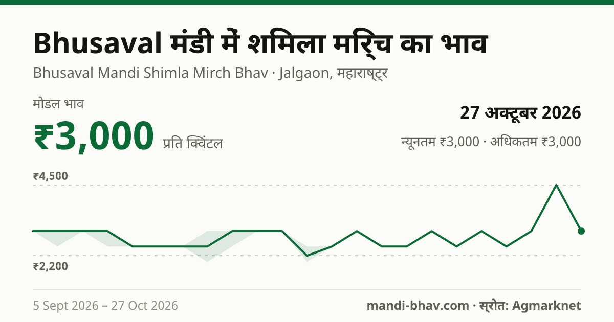 Bhusaval मंडी में Chilly Capsicum का भाव 27 अक्टूबर 2026: मोडल ₹3,000 प्रति क्विंटल, भाव के रुझान का चार्ट
