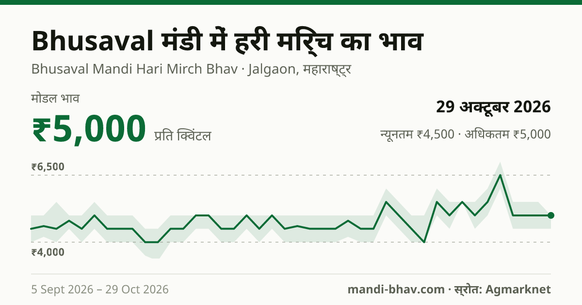 Bhusaval मंडी में हरी मिर्च का भाव 29 अक्टूबर 2026: मोडल ₹5,000 प्रति क्विंटल, भाव के रुझान का चार्ट