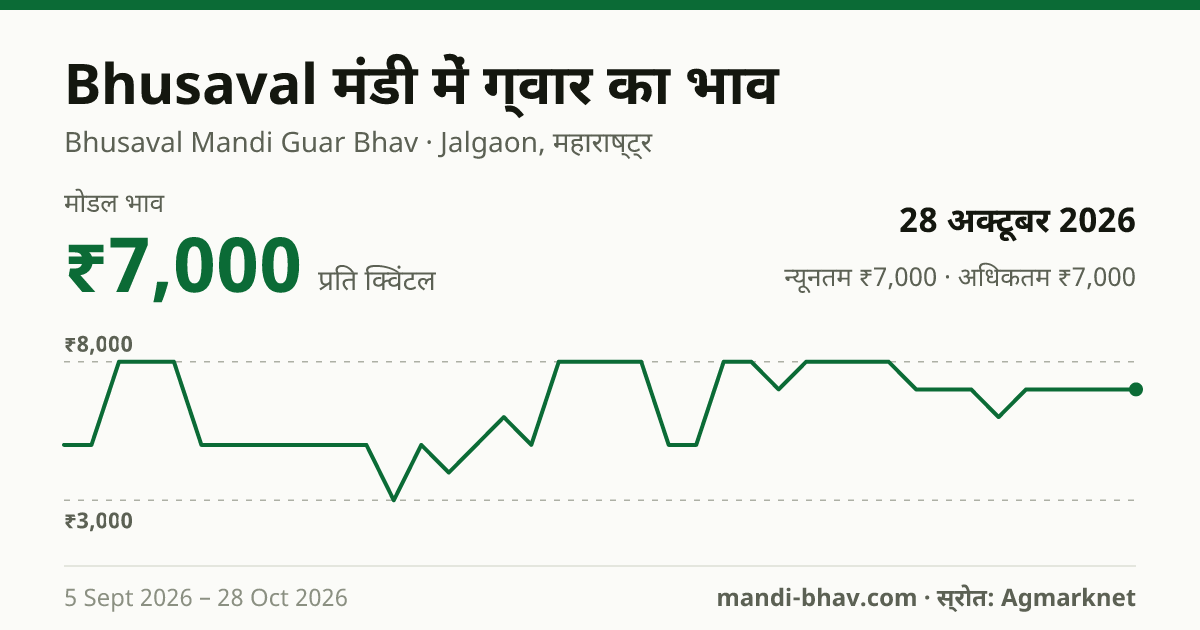 Bhusaval मंडी में ग्वार का भाव 28 अक्टूबर 2026: मोडल ₹7,000 प्रति क्विंटल, भाव के रुझान का चार्ट