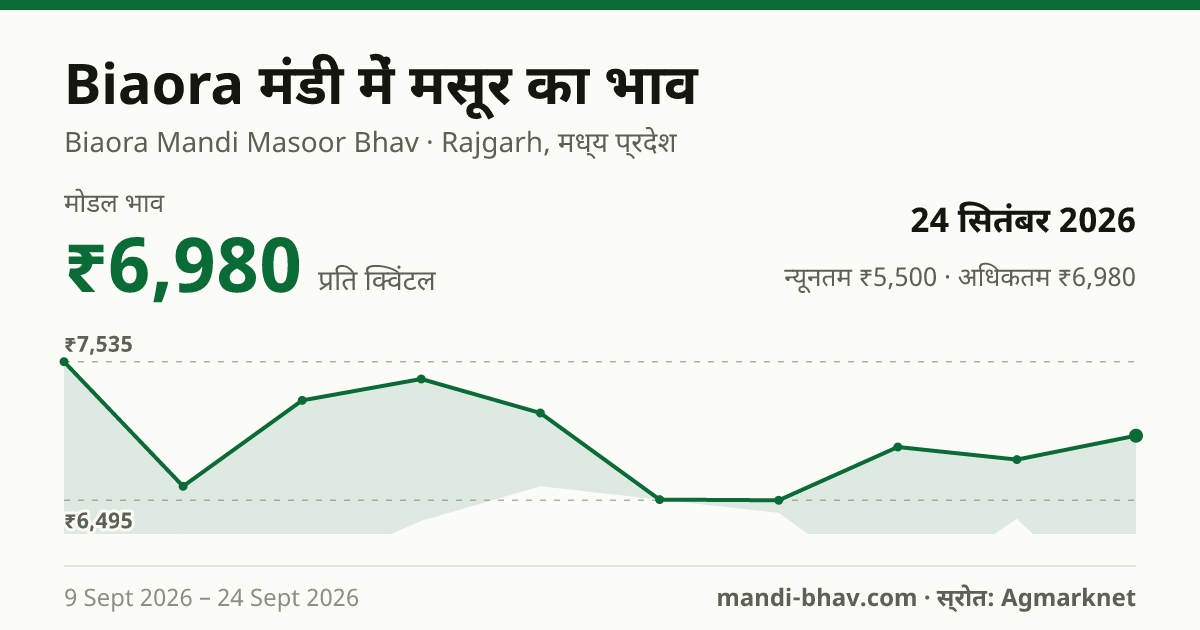 Biaora मंडी में मसूर का भाव 24 सितंबर 2026: मोडल ₹6,980 प्रति क्विंटल, भाव के रुझान का चार्ट