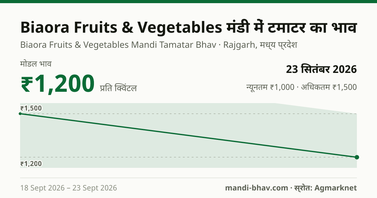 Biaora Fruits & Vegetables मंडी में टमाटर का भाव 23 सितंबर 2026: मोडल ₹1,200 प्रति क्विंटल, भाव के रुझान का चार्ट