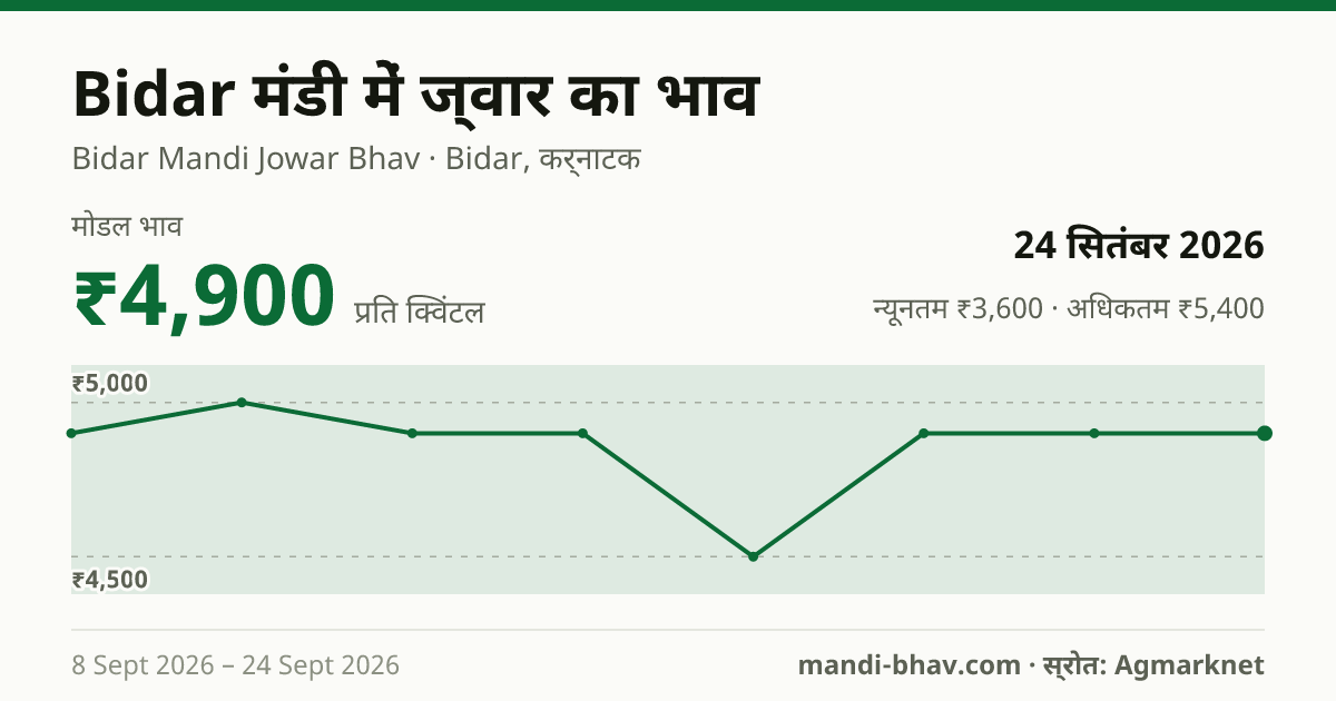 Bidar मंडी में ज्वार का भाव 24 सितंबर 2026: मोडल ₹4,900 प्रति क्विंटल, भाव के रुझान का चार्ट