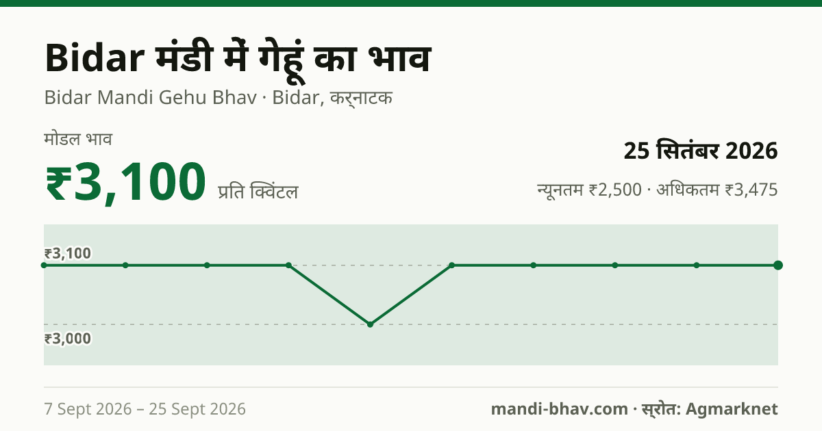 Bidar मंडी में गेहूं का भाव 25 सितंबर 2026: मोडल ₹3,100 प्रति क्विंटल, भाव के रुझान का चार्ट
