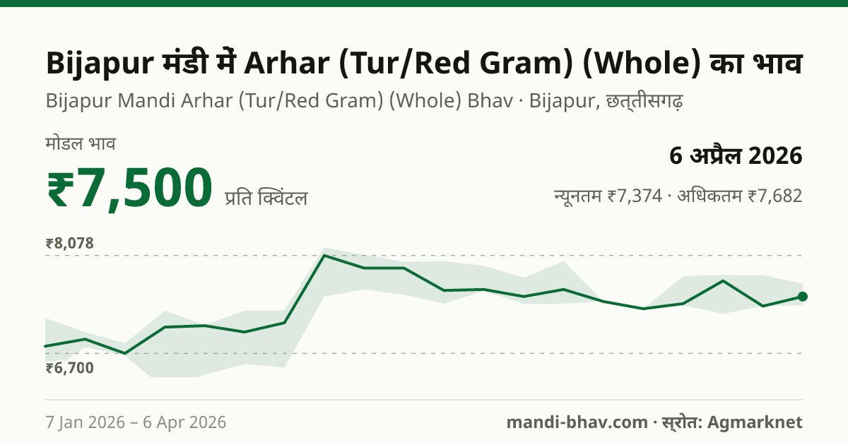 Bijapur मंडी में Arhar (Tur/Red Gram) (Whole) का भाव 6 अप्रैल 2026: मोडल ₹7,500 प्रति क्विंटल, भाव के रुझान का चार्ट