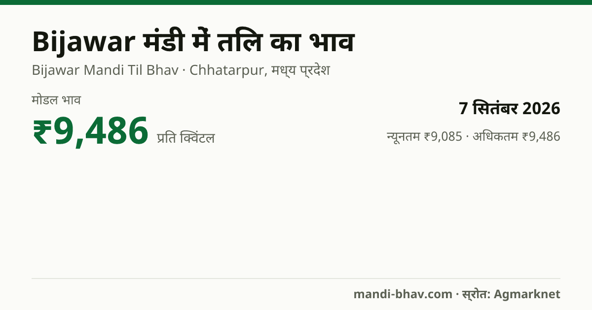 Bijawar मंडी में तिल का भाव 7 सितंबर 2026: मोडल ₹9,486 प्रति क्विंटल, भाव के रुझान का चार्ट