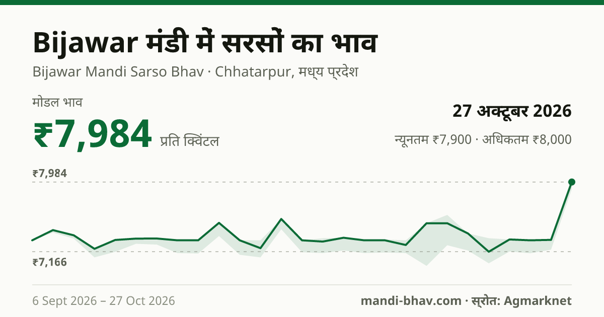 Bijawar मंडी में सरसों का भाव 27 अक्टूबर 2026: मोडल ₹7,984 प्रति क्विंटल, भाव के रुझान का चार्ट