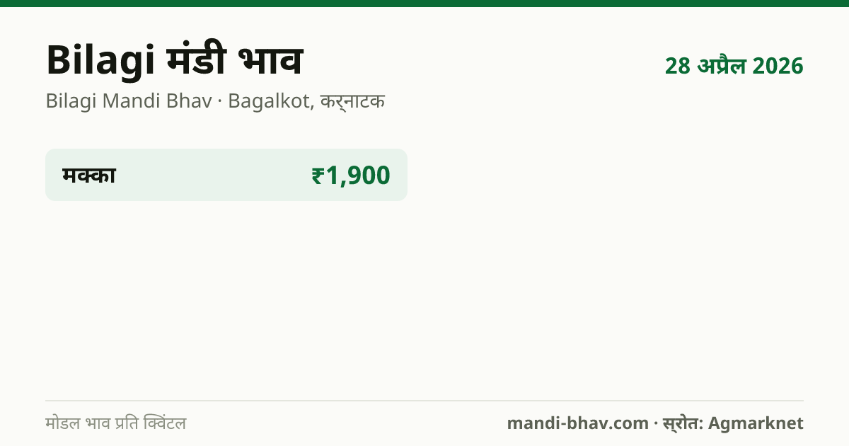 Bilagi मंडी भाव 28 अप्रैल 2026: फसलवार मोडल रेट प्रति क्विंटल