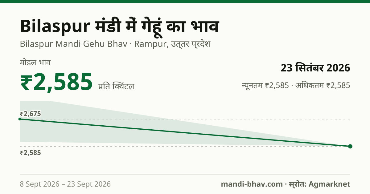 Bilaspur मंडी में गेहूं का भाव 23 सितंबर 2026: मोडल ₹2,585 प्रति क्विंटल, भाव के रुझान का चार्ट
