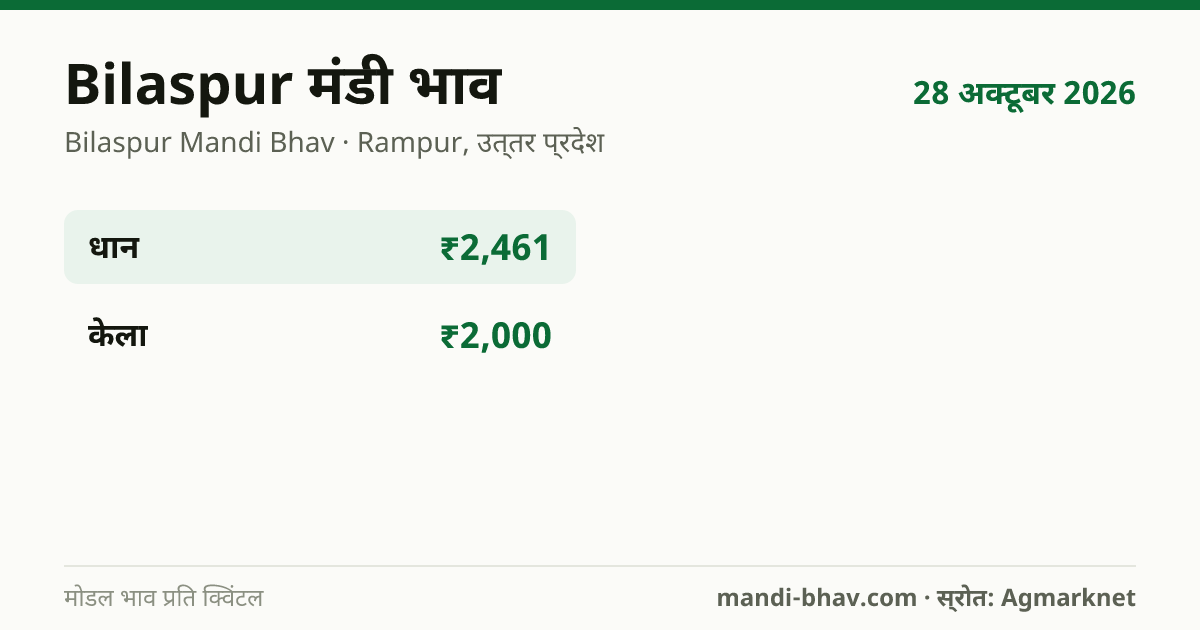 Bilaspur मंडी भाव 28 अक्टूबर 2026: फसलवार मोडल रेट प्रति क्विंटल