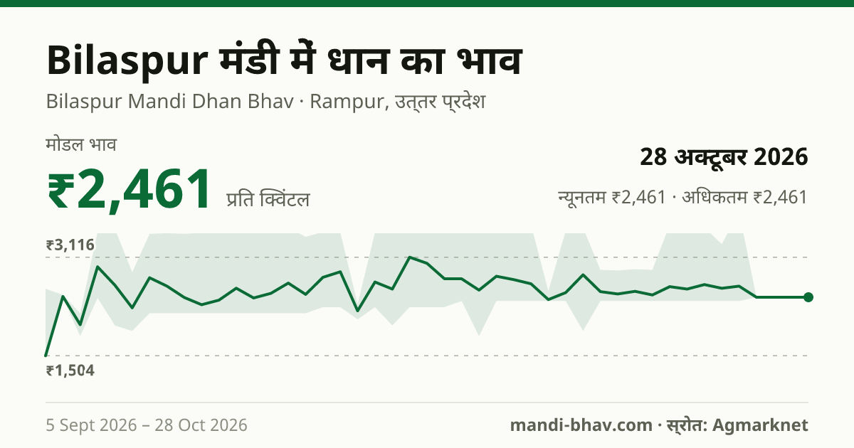Bilaspur मंडी में धान का भाव 28 अक्टूबर 2026: मोडल ₹2,461 प्रति क्विंटल, भाव के रुझान का चार्ट