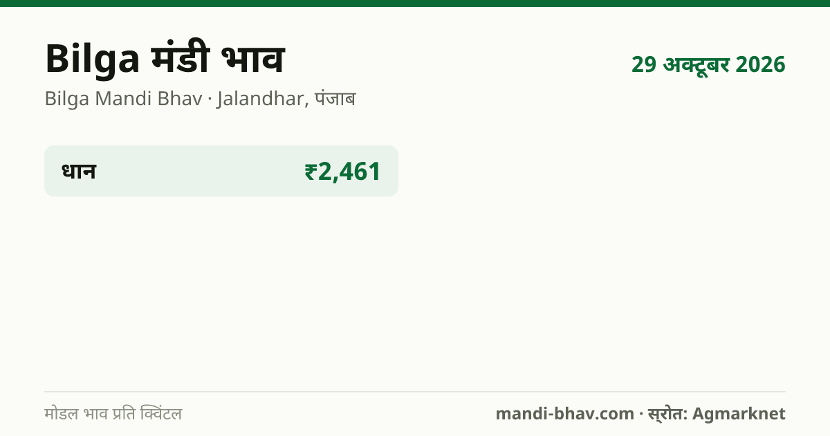Bilga मंडी भाव 29 अक्टूबर 2026: फसलवार मोडल रेट प्रति क्विंटल