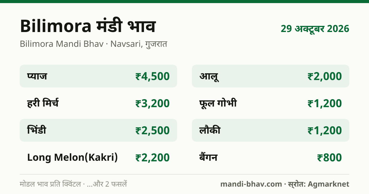 Bilimora मंडी भाव 29 अक्टूबर 2026: फसलवार मोडल रेट प्रति क्विंटल