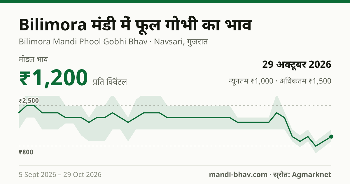 Bilimora मंडी में फूल गोभी का भाव 29 अक्टूबर 2026: मोडल ₹1,200 प्रति क्विंटल, भाव के रुझान का चार्ट