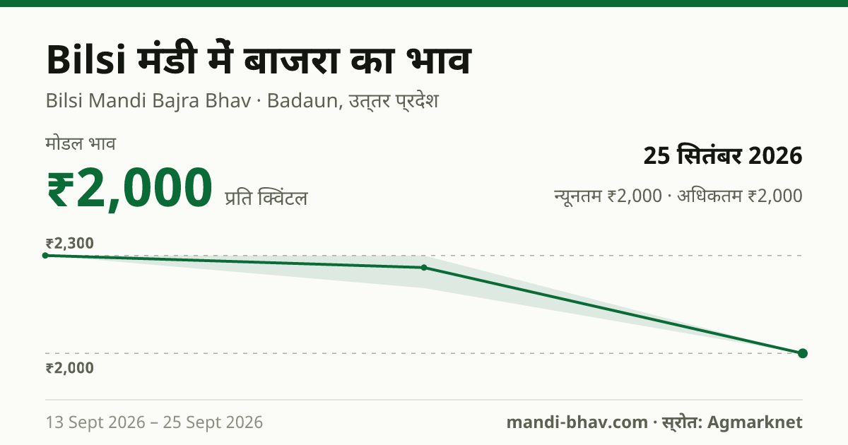 Bilsi मंडी में बाजरा का भाव 25 सितंबर 2026: मोडल ₹2,000 प्रति क्विंटल, भाव के रुझान का चार्ट