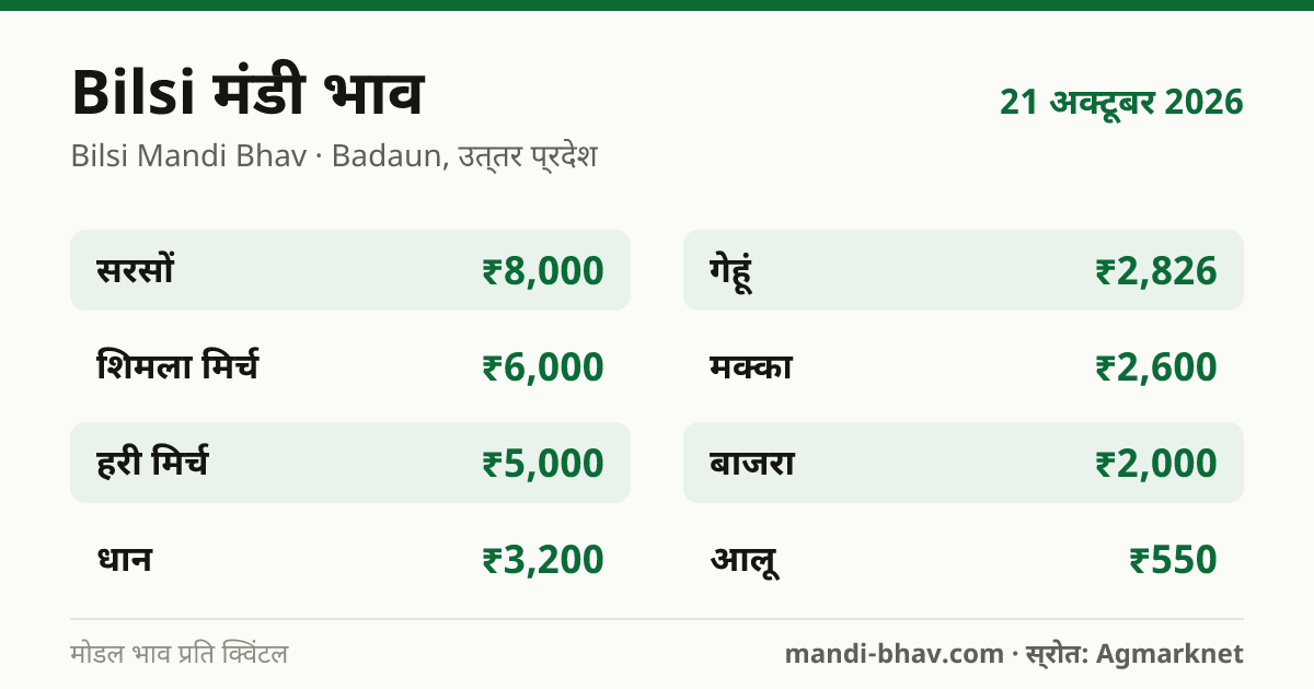 Bilsi मंडी भाव 21 अक्टूबर 2026: फसलवार मोडल रेट प्रति क्विंटल