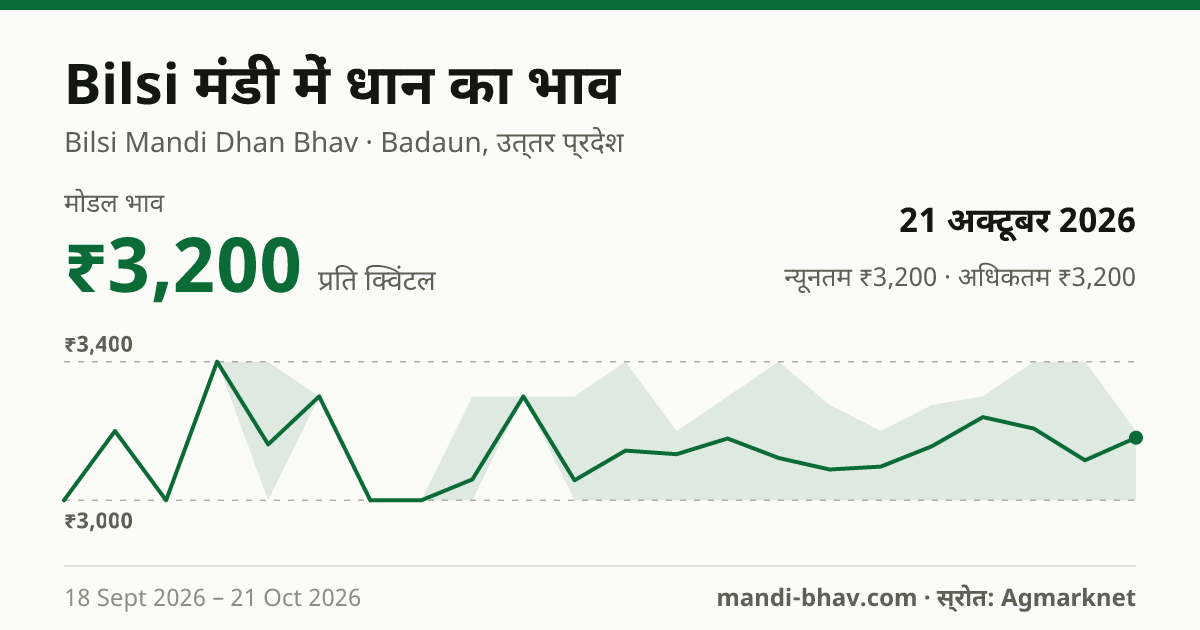 Bilsi मंडी में धान का भाव 21 अक्टूबर 2026: मोडल ₹3,200 प्रति क्विंटल, भाव के रुझान का चार्ट