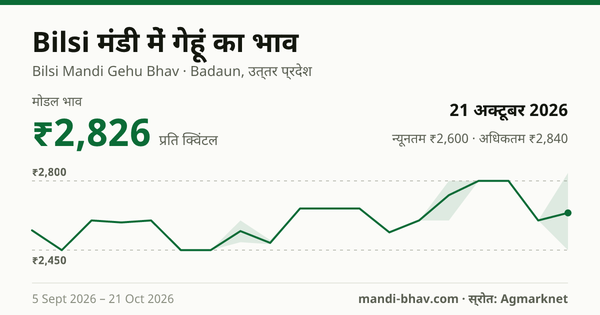 Bilsi मंडी में गेहूं का भाव 21 अक्टूबर 2026: मोडल ₹2,826 प्रति क्विंटल, भाव के रुझान का चार्ट