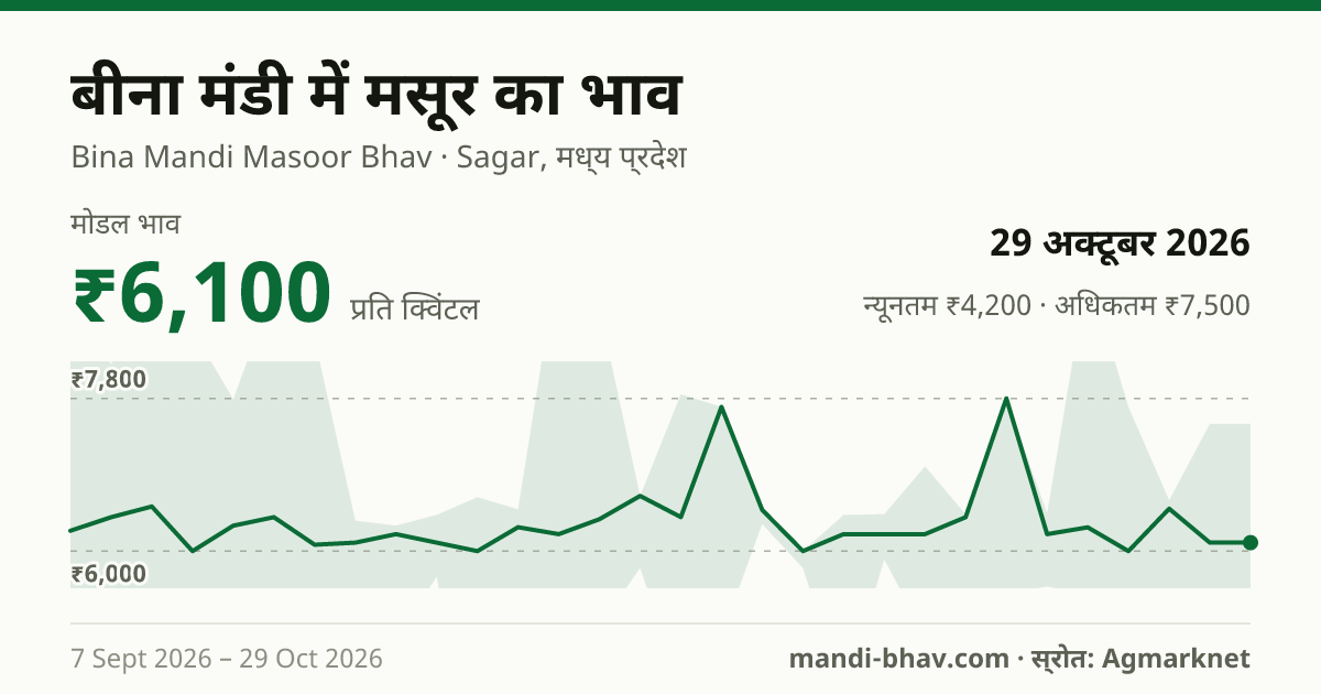 बीना मंडी में मसूर का भाव 29 अक्टूबर 2026: मोडल ₹6,225 प्रति क्विंटल, भाव के रुझान का चार्ट