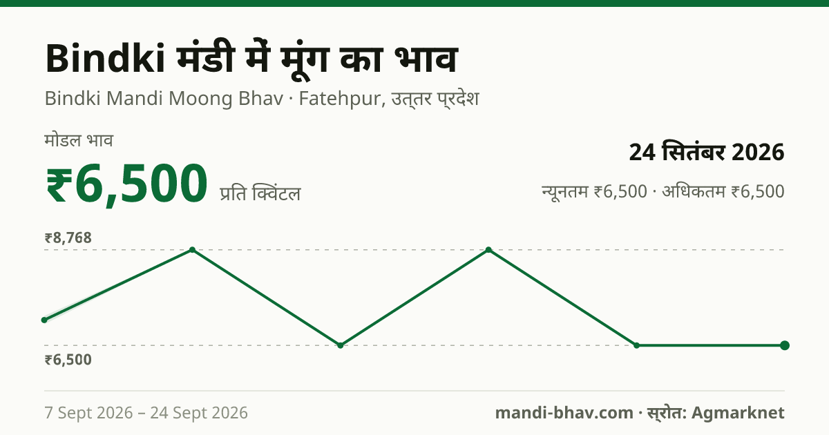 Bindki मंडी में मूंग का भाव 24 सितंबर 2026: मोडल ₹6,500 प्रति क्विंटल, भाव के रुझान का चार्ट