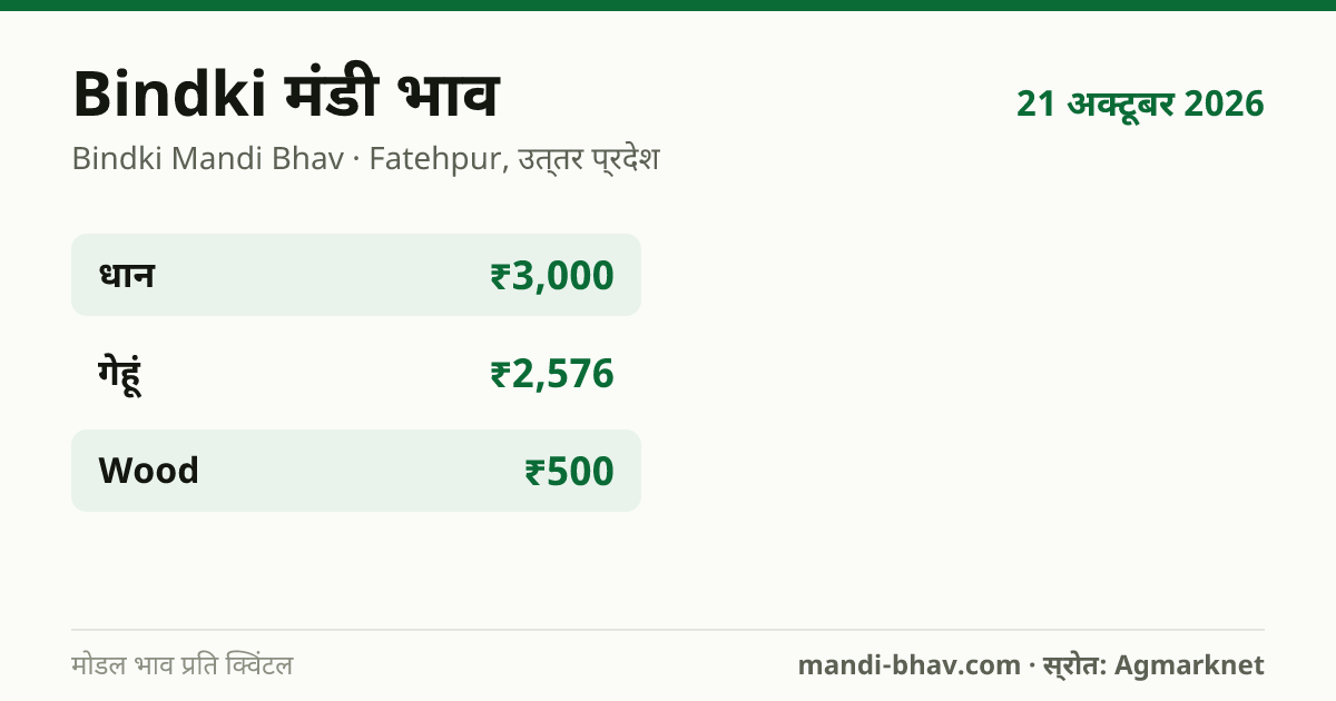 Bindki मंडी भाव 21 अक्टूबर 2026: फसलवार मोडल रेट प्रति क्विंटल