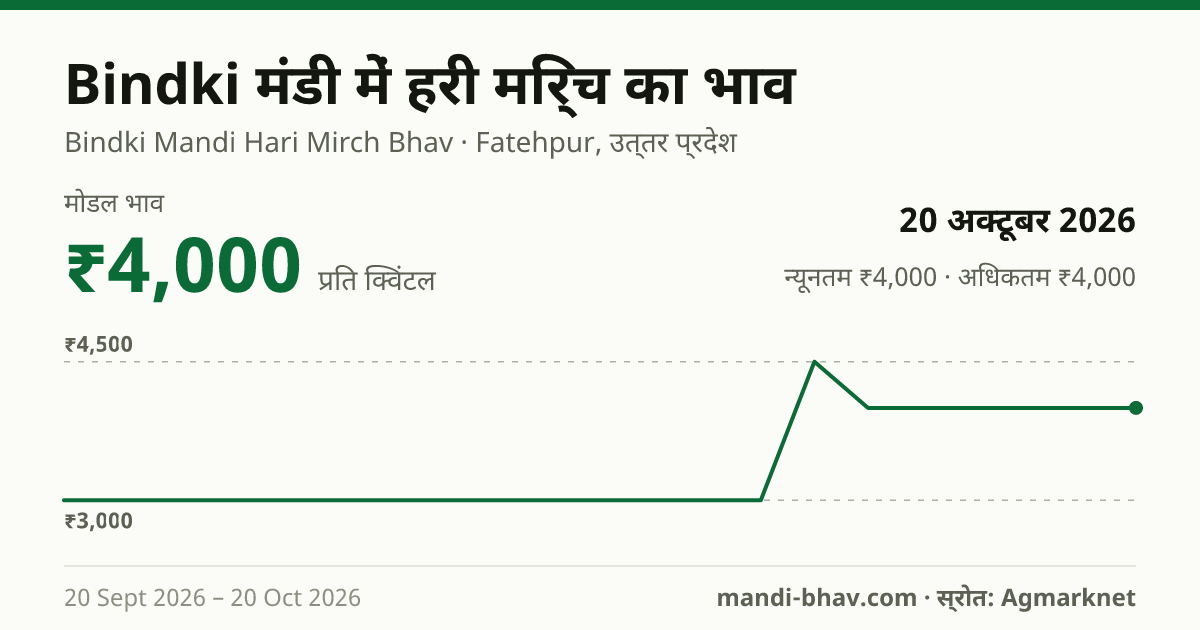 Bindki मंडी में हरी मिर्च का भाव 20 अक्टूबर 2026: मोडल ₹4,000 प्रति क्विंटल, भाव के रुझान का चार्ट