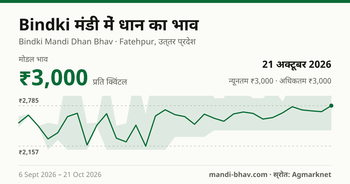 Bindki मंडी में धान का भाव 21 अक्टूबर 2026: मोडल ₹3,000 प्रति क्विंटल, भाव के रुझान का चार्ट
