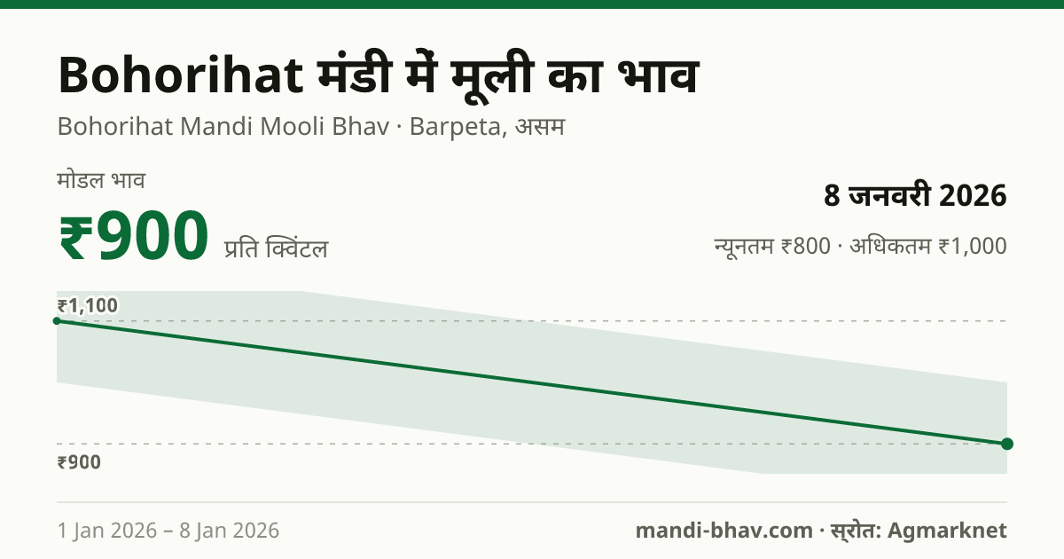 Bohorihat मंडी में मूली का भाव 8 जनवरी 2026: मोडल ₹900 प्रति क्विंटल, भाव के रुझान का चार्ट