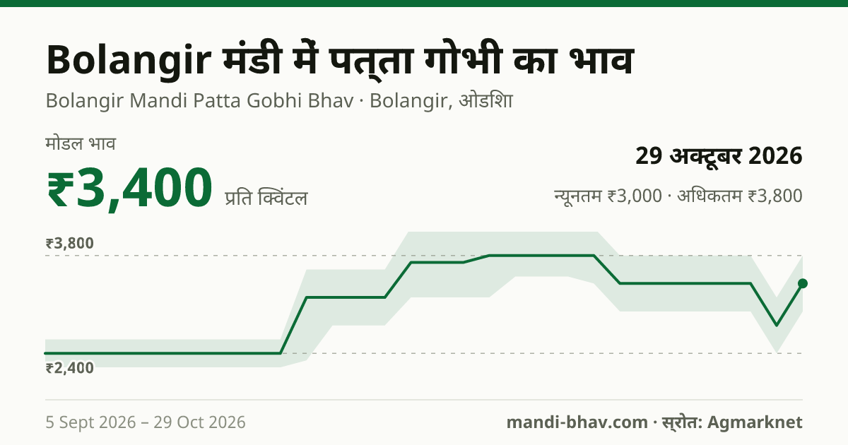 Bolangir मंडी में पत्ता गोभी का भाव 29 अक्टूबर 2026: मोडल ₹3,400 प्रति क्विंटल, भाव के रुझान का चार्ट