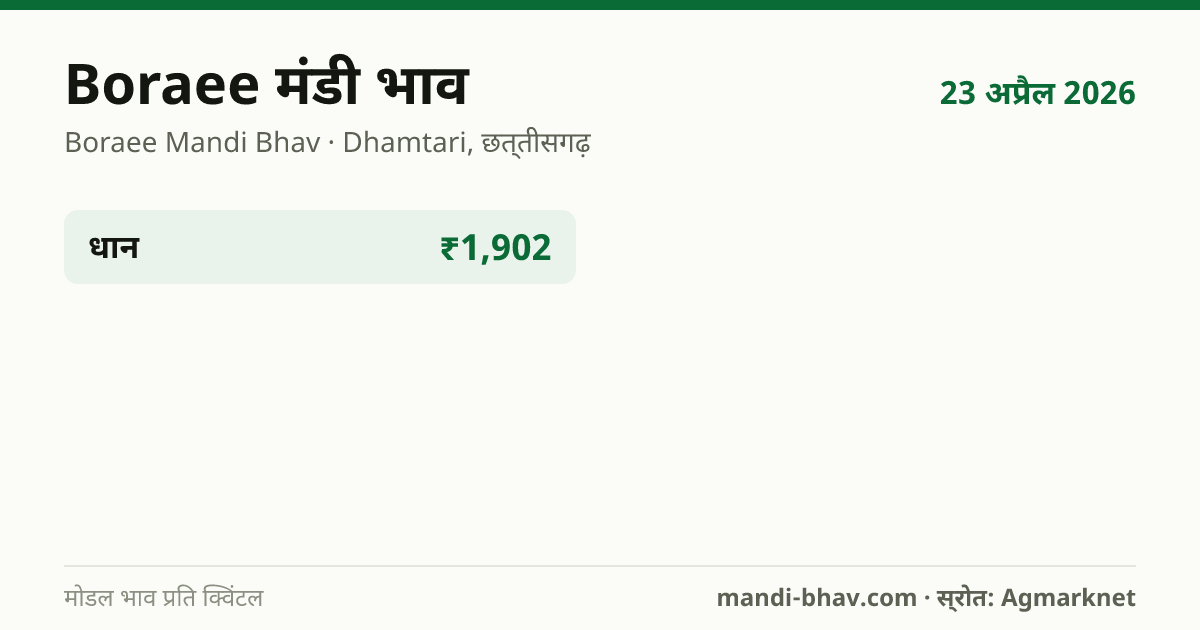 Boraee मंडी भाव 23 अप्रैल 2026: फसलवार मोडल रेट प्रति क्विंटल