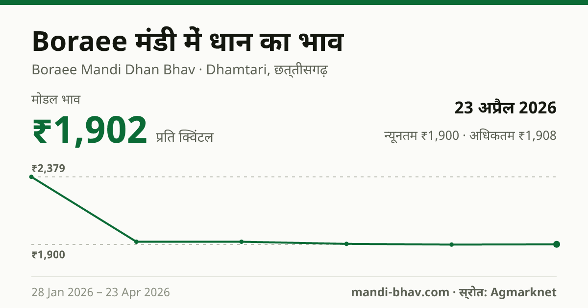 Boraee मंडी में धान का भाव 23 अप्रैल 2026: मोडल ₹1,902 प्रति क्विंटल, भाव के रुझान का चार्ट