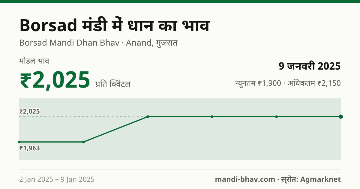 Borsad मंडी में धान का भाव 9 जनवरी 2025: मोडल ₹2,025 प्रति क्विंटल, भाव के रुझान का चार्ट